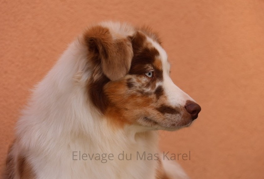 Appalaches du Mas Karel